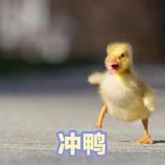 《不思议迷宫》活动攻略 | 迷宫爽翻天·开学季定向越野来了!进来领10钻! 《不思议迷宫》活动攻略 | 迷宫爽翻天·开学季定向越野来了!进来领10钻!