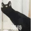 《不思议迷宫》活动攻略 | 迷宫爽翻天·开学季定向越野来了!进来领10钻! 《不思议迷宫》活动攻略 | 迷宫爽翻天·开学季定向越野来了!进来领10钻!