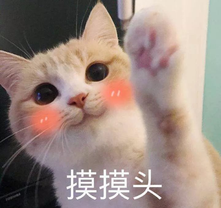 《不思议迷宫》迷宫公益 | 冬季送温暖，捐衣献爱心！迷宫联合飞蚂蚁行动中，冒险者们快来加入我们~