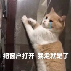 《不思议迷宫》放牛讲彩蛋 | 红帽子白胡子老爷爷居然......