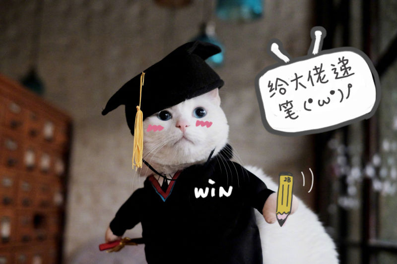 《伊洛纳elona》伊洛纳装备打造入门~如何打造黑星胚子？