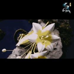 《问道》手游用流传千年的非遗技艺，做一束永不凋谢的百合！
